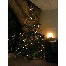 Alannah Witherby's Christmas tree from London, UK