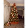 Weihnachtsbaum von Joadalyz Santana (Laredo, Texas)