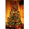 Weihnachtsbaum von chris veloz (Temecula, California)