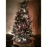 Weihnachtsbaum von Nina Armenyan (Los Angeles, CA)