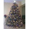 antonio 's Christmas tree from Tepic, Nayarit México