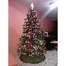 AYDEE MORENO's Christmas tree from MEXICO, QUERETARO