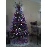 Linette 's Christmas tree from San Juan , Puerto Rico  