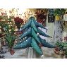 Eva 's Christmas tree from Huelva