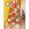 NATHALLYN ARCADIS ACOSTA's Christmas tree from MARACAY ,VENEZUELA