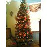 Evelyn's Christmas tree from Paterson,NJ, USA