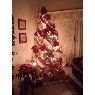 Weihnachtsbaum von Sulay Lugo de Vera (Coro, Venezuela)