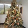 Weihnachtsbaum von Roxana Castillo (Caracas, Venezuela)
