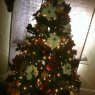 Lydia Chapa's Christmas tree from Grand Prairie, TX, USA
