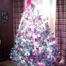 Tara Andrews's Christmas tree from USA