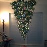 Joel Lindsey's Christmas tree from Nashville, TN, USA
