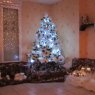 Céline's Christmas tree from Chalons-en-Champagne, France