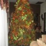 Weihnachtsbaum von Cristina de Herrera (Maracaibo, Venezuela)