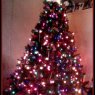 Letty Robles's Christmas tree from Phoenix, Arizona, USA