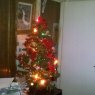 Noury's Christmas tree from Caen