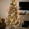 AnnMarie Scalici's Christmas tree from Staten Island, New York, USA