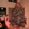 Árbol de Navidad de Dennis & Tara Pluhar (Pennsylvania, USA )