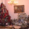 Sevag Markarian's Christmas tree from Lebanon, Adonis, Zouk Mosbeh