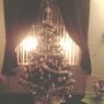 Ashli McLeish's Christmas tree from Scotland, UK