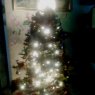 Andrew's Christmas tree from Venezuela