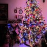 Weihnachtsbaum von XL (New York)