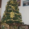 Yaritza Branca's Christmas tree from Italia