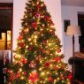 Dora Watson's Christmas tree from Czech Republic