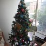 Jose Pedro Espinoza's Christmas tree from Mexico City, Mexico