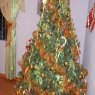 yaritza riera's Christmas tree from Estado Lara, Venezuela