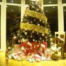 Weihnachtsbaum von Georges Claes (Nandrin, Belgique)