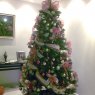 Fatima Morales's Christmas tree from Boquete, Panama