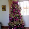Sapin de Noël de Yersira Morales (Boquete, Panama)