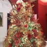 Andres Eloy Rondon's Christmas tree from Merida, Venezuela 