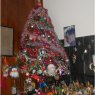 Mariel's Christmas tree from Argentina