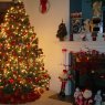 Árbol de Navidad de Amanda Bobley (Raleigh, NC, USA)