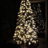 Mira's Christmas tree from Mission, British Columbia, Canada