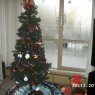 Marcelo Loaiza's Christmas tree from North Vancouver, Canada