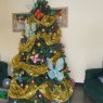 Carlos Vega's Christmas tree from Venezuela