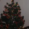 Carmen Vallejo's Christmas tree from Sucre, Venezuela
