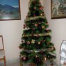 Silvia's Christmas tree from Valencia, España