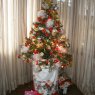 Weihnachtsbaum von Laura Flores (Posadas, Misiones, Argentina)