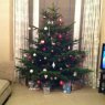 Genna Fell's Christmas tree from Carlisle, Cumbria, UK
