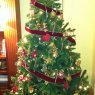 Oscar Miguel's Christmas tree from Alcobendas, España