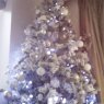 MissJay's Christmas tree from Bruxelles, Belgique