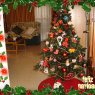 Puri Montes's Christmas tree from Sevilla, España