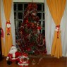 Rafael Hector Lago's Christmas tree from Comodoro Rivadavia, Chubut, Argentina
