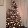 Stéphanie's Christmas tree from Belgium