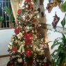 Erika Rodríguez's Christmas tree from Santa Teresa del Tuy, Venezuela