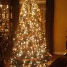 April Parker's Christmas tree from Memphis, TN, USA