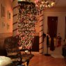 Erol Tremblay's Christmas tree from Canada